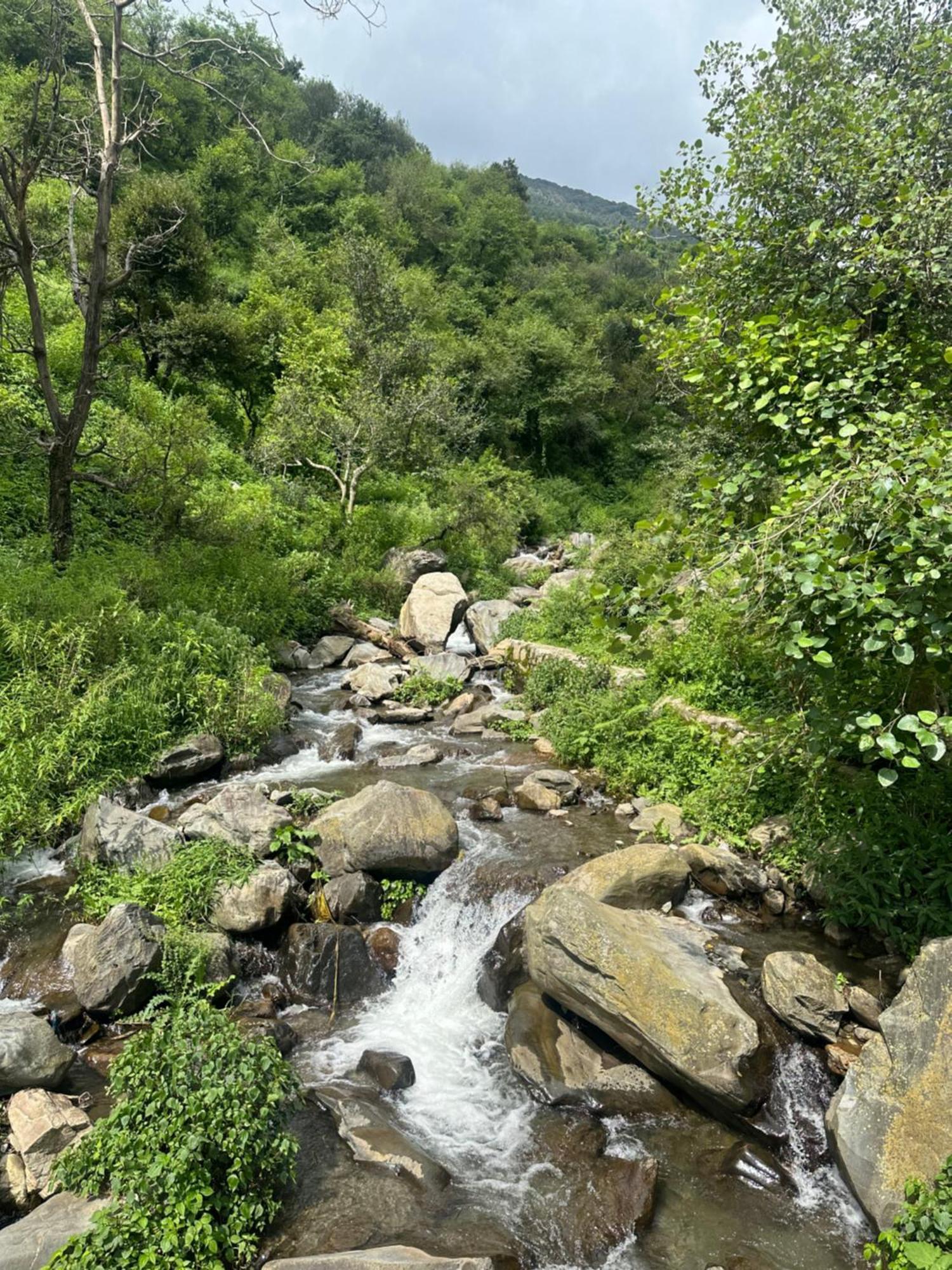 Deodar Village Homestay Devalsari Mussoorie Exterior photo