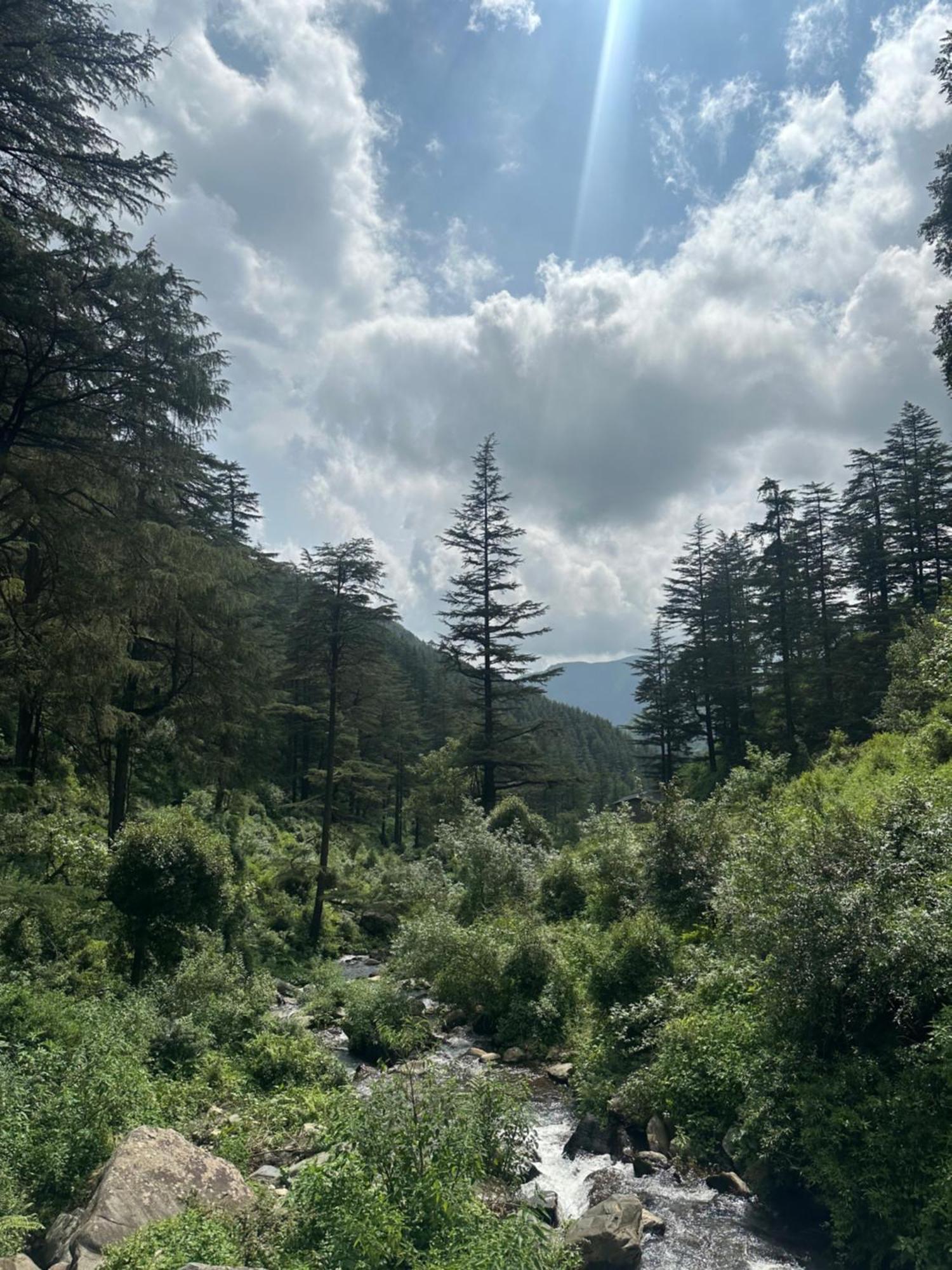 Deodar Village Homestay Devalsari Mussoorie Exterior photo
